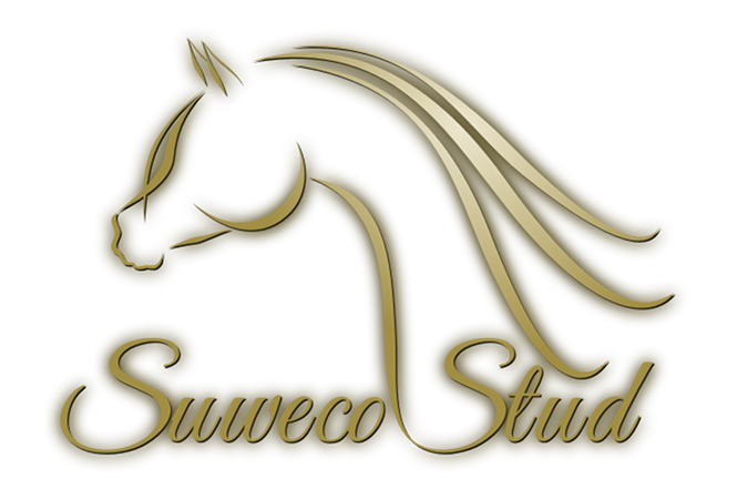Suweco Stud